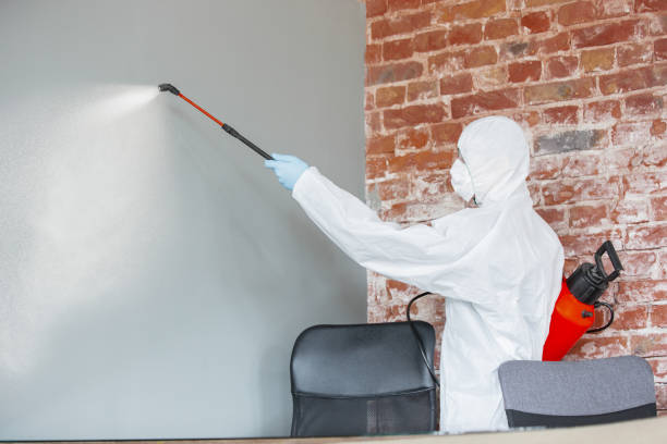 Best Mold Remediation for Healthcare Facilities  in Pandora, OH