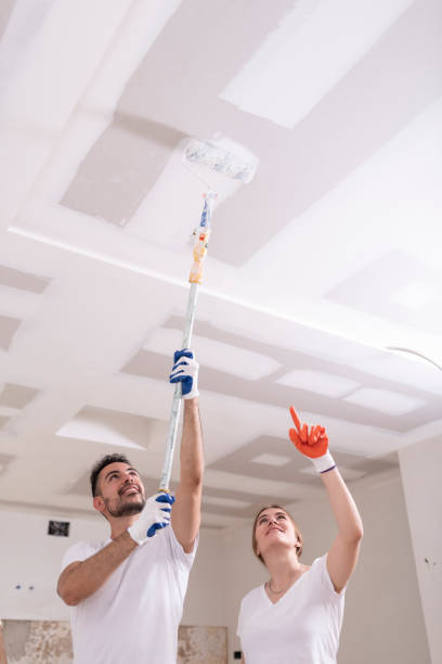Best Environmental Consulting for Mold Prevention  in Pandora, OH