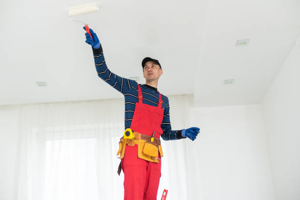 Dehumidification Services in Pandora, OH