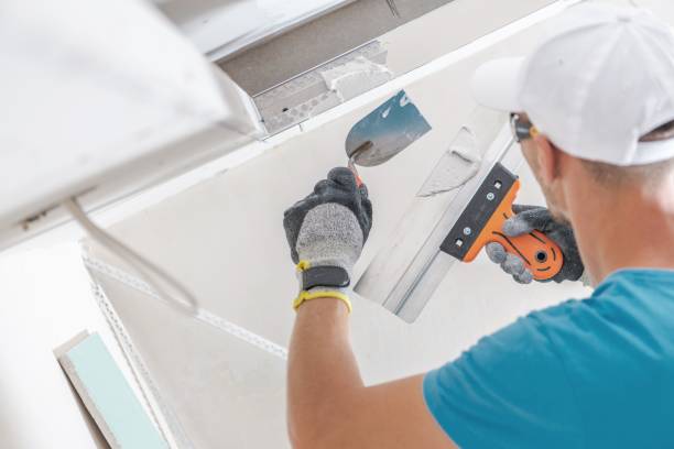 Best Real Estate Mold Inspection  in Pandora, OH